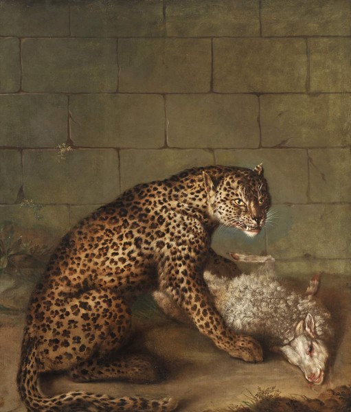 Leopard with a lamb (a leopard tormenting a sheep)